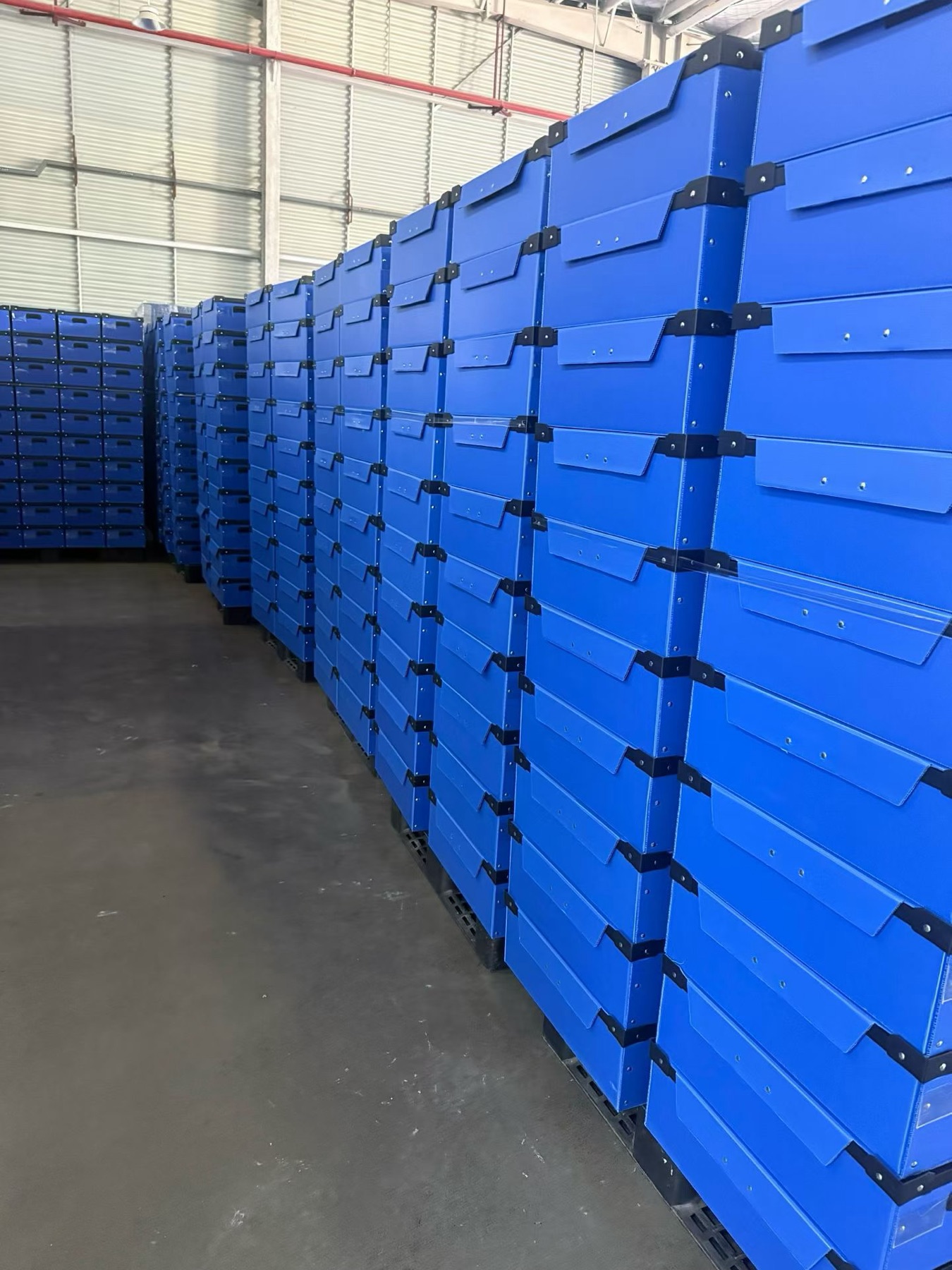 Rows of assembled blue reusable PP corrugated boxes ready for handling