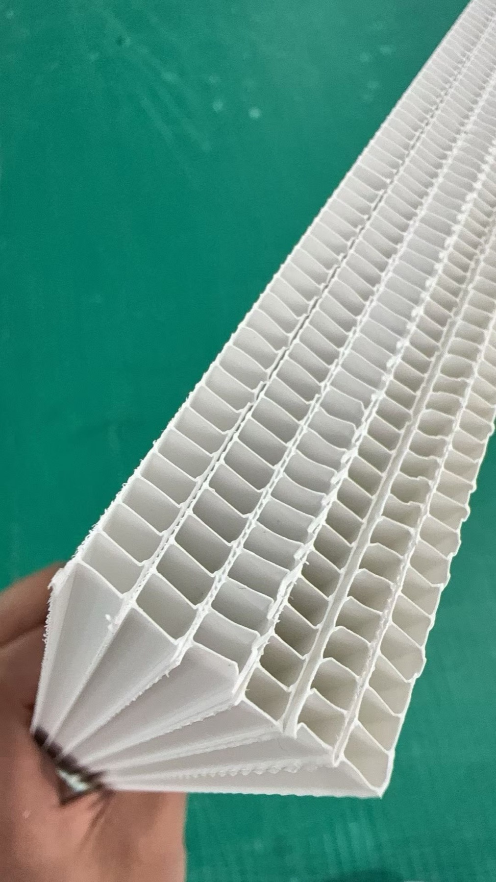 White PP hollow sheet samples showing multiple thickness options